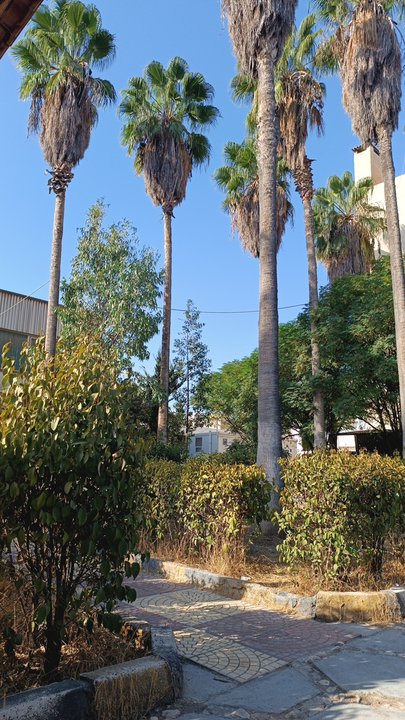 My Crowdsourcing Posts