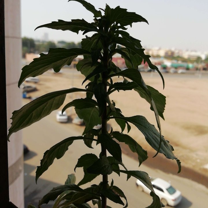 My Crowdsourcing Posts