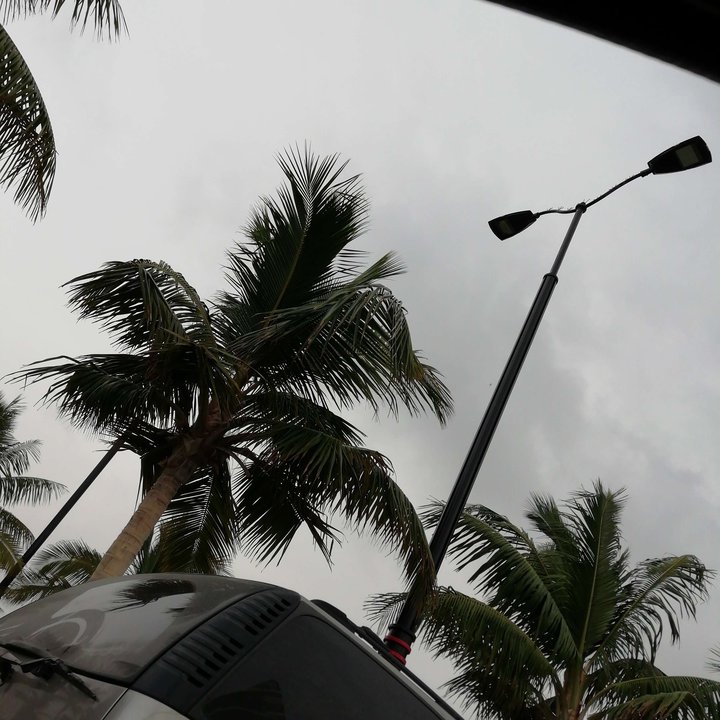 مشاركاتي في أنت الراصد