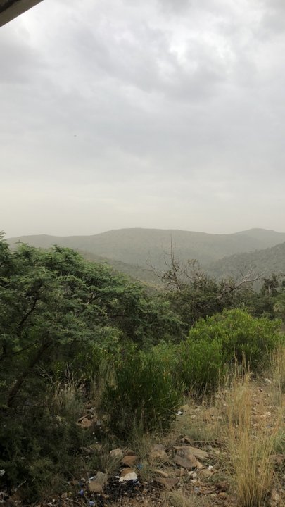 مشاركاتي في أنت الراصد