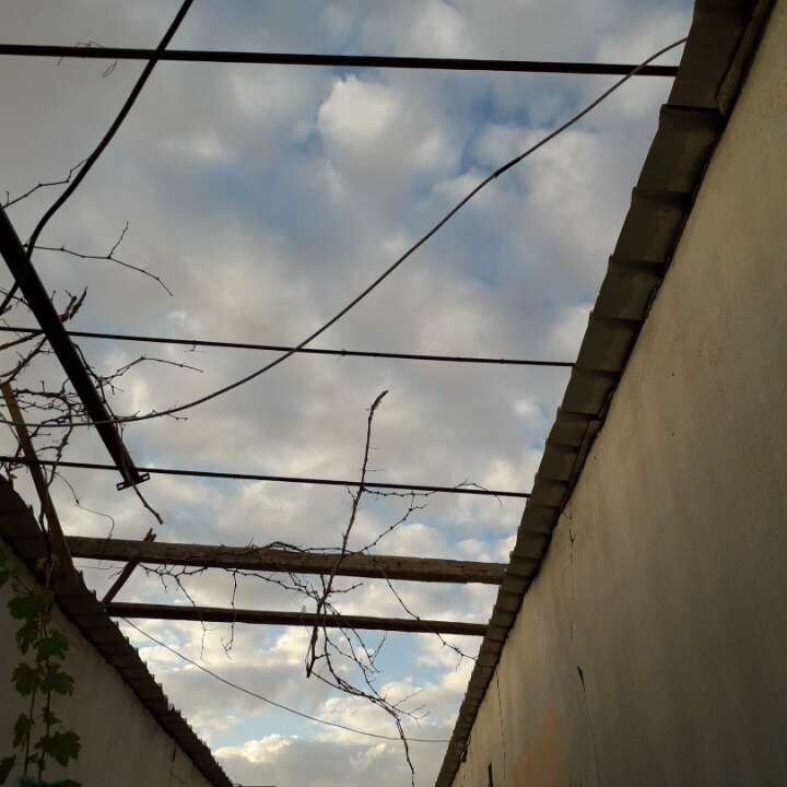 مشاركاتي في أنت الراصد