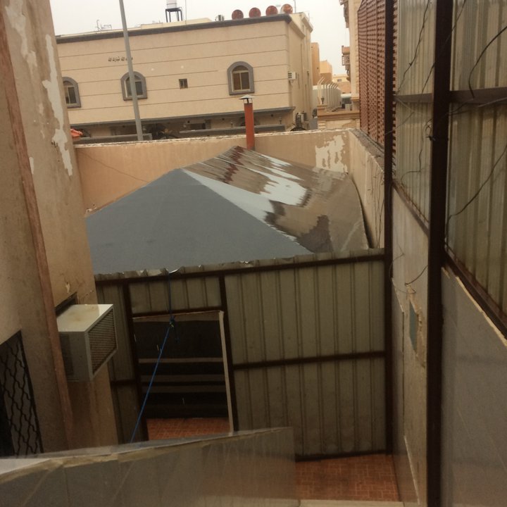 مشاركاتي في أنت الراصد