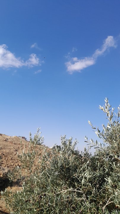 My Crowdsourcing Posts