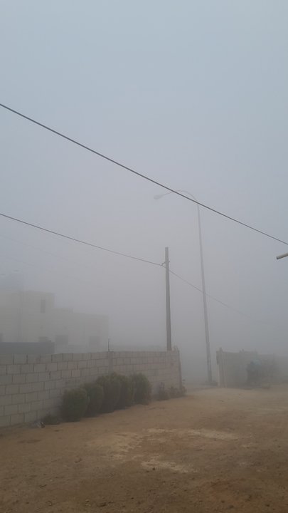 مشاركاتي في أنت الراصد