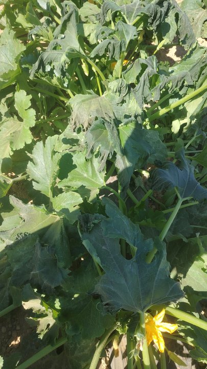 My Crowdsourcing Posts