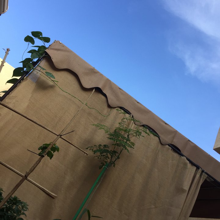 My Crowdsourcing Posts