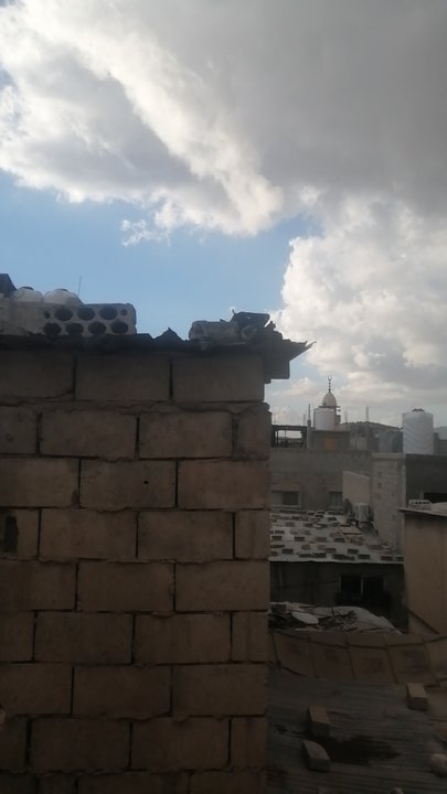 مشاركاتي في أنت الراصد