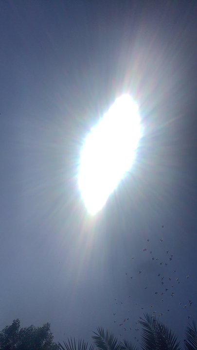 مشاركاتي في أنت الراصد