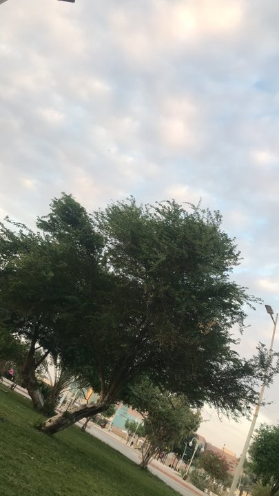 Mes publications Crowdsourcing