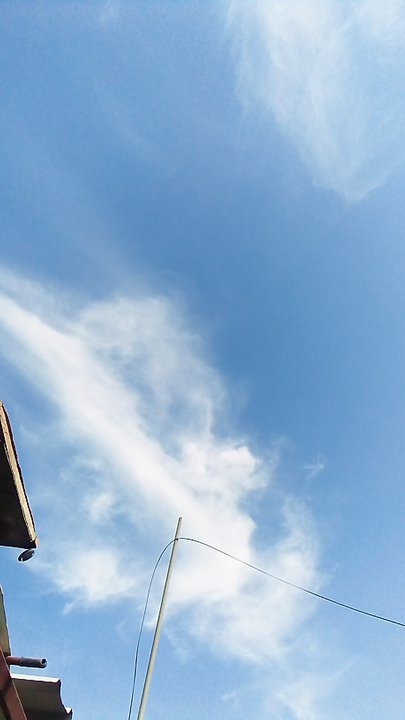 مشاركاتي في أنت الراصد