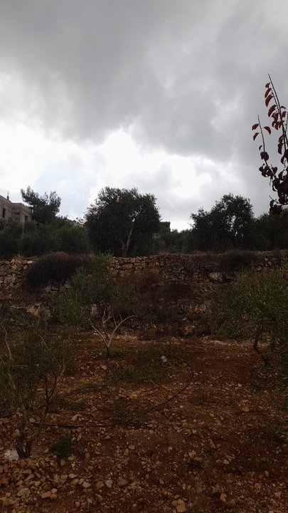 My Crowdsourcing Posts