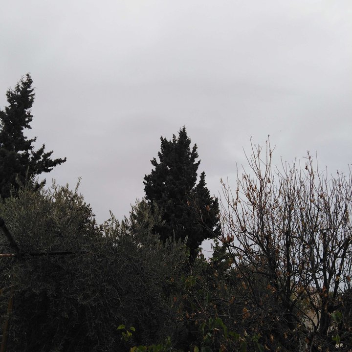 My Crowdsourcing Posts