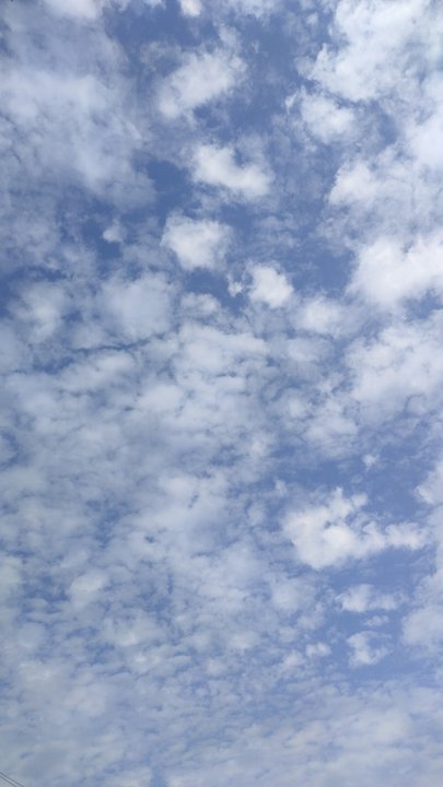 مشاركاتي في أنت الراصد