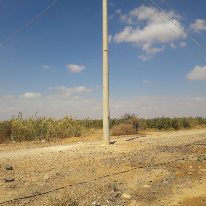 My Crowdsourcing Posts