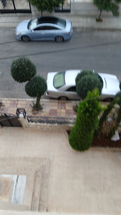 مشاركاتي في أنت الراصد