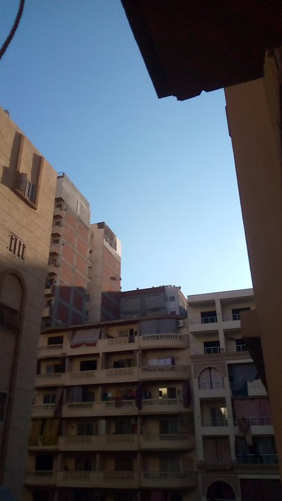 مشاركاتي في أنت الراصد