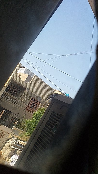 My Crowdsourcing Posts