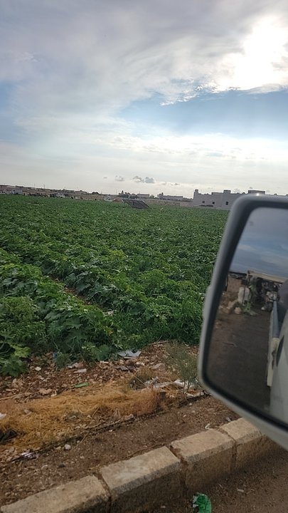 مشاركاتي في أنت الراصد