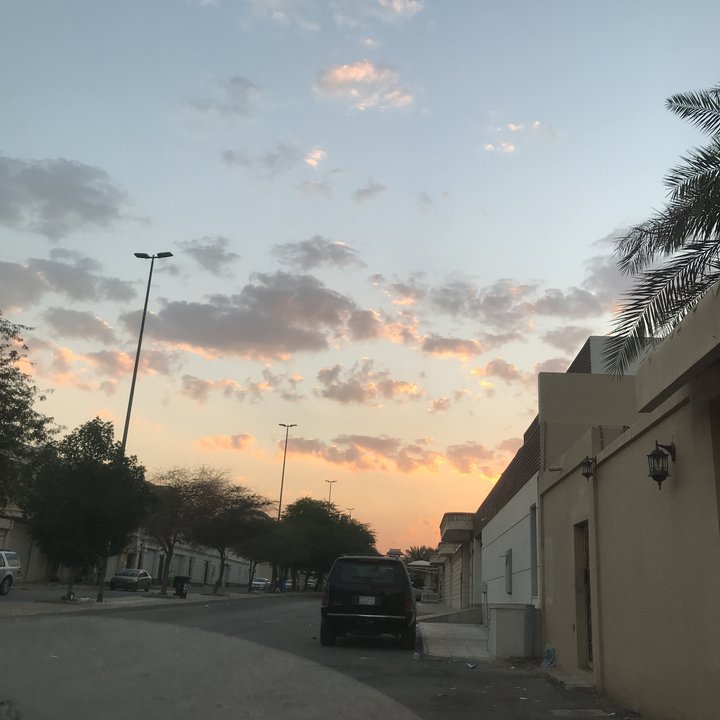 مشاركاتي في أنت الراصد