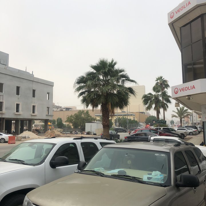 مشاركاتي في أنت الراصد