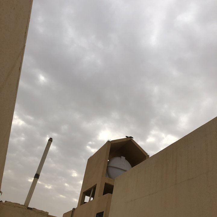 My Crowdsourcing Posts