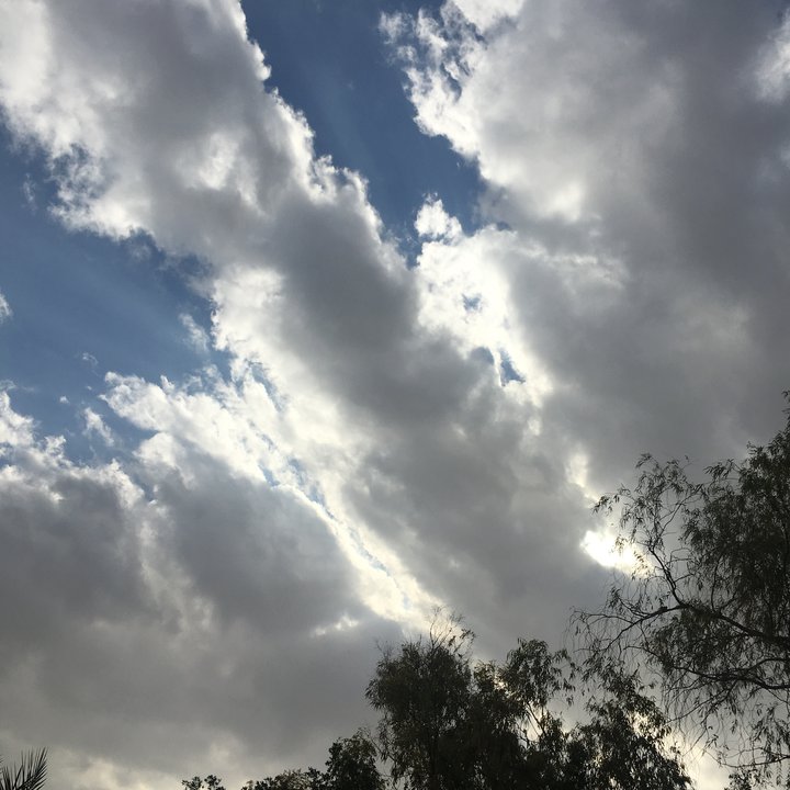 مشاركاتي في أنت الراصد