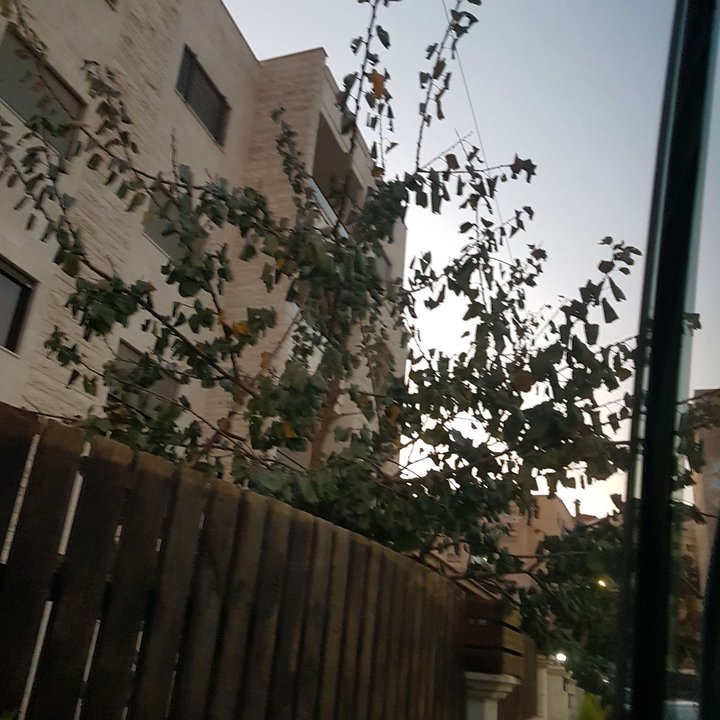 My Crowdsourcing Posts