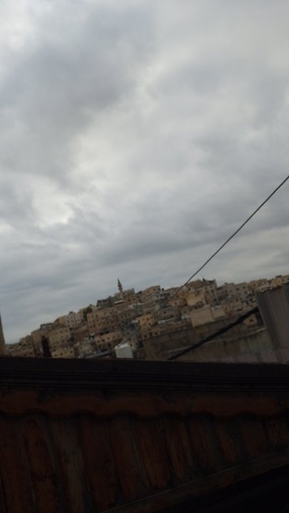 مشاركاتي في أنت الراصد