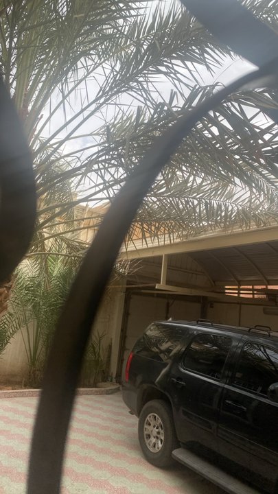مشاركاتي في أنت الراصد