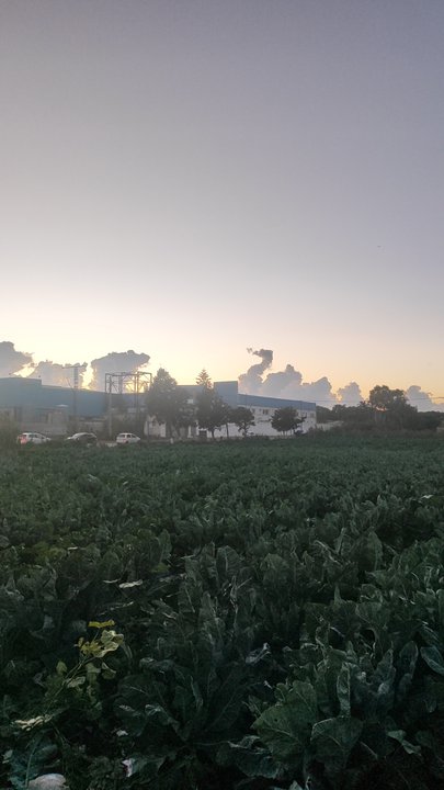 My Crowdsourcing Posts