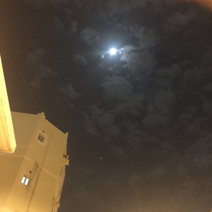 مشاركاتي في أنت الراصد
