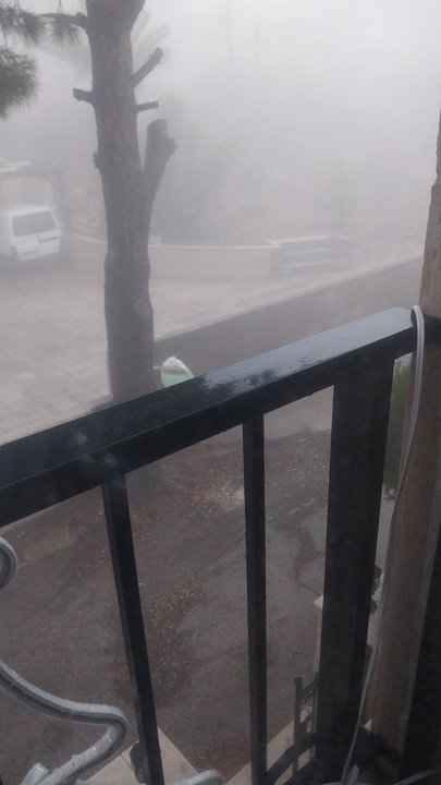 مشاركاتي في أنت الراصد