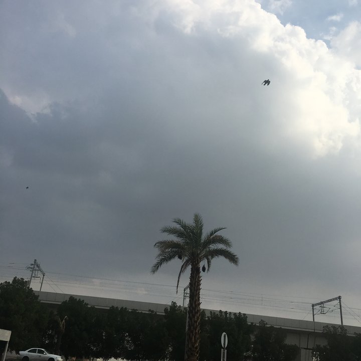 My Crowdsourcing Posts