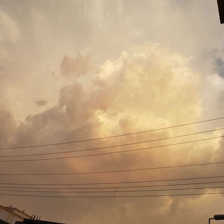 مشاركاتي في أنت الراصد