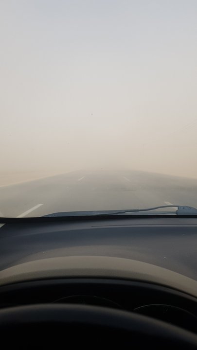 مشاركاتي في أنت الراصد