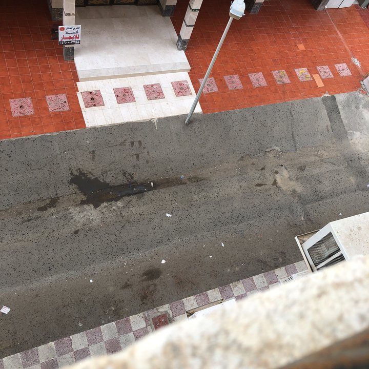 مشاركاتي في أنت الراصد