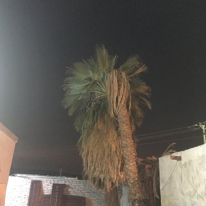 My Crowdsourcing Posts