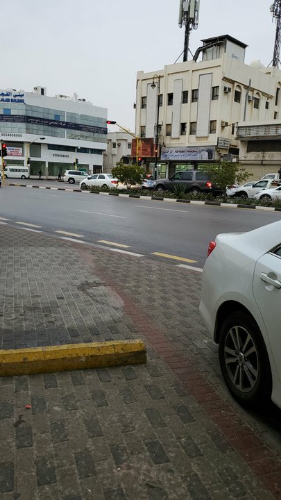 مشاركاتي في أنت الراصد