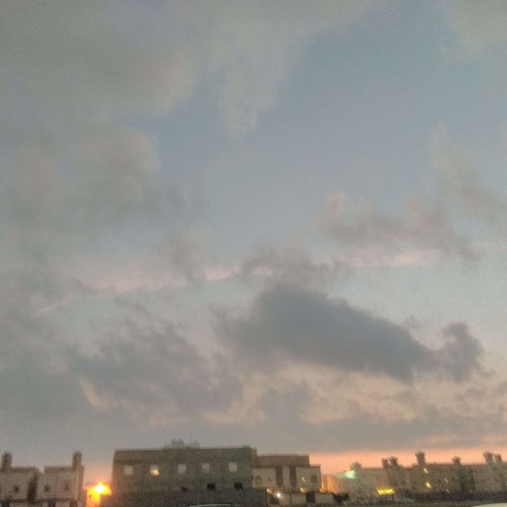 مشاركاتي في أنت الراصد