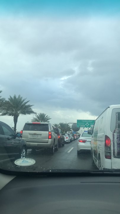 مشاركاتي في أنت الراصد