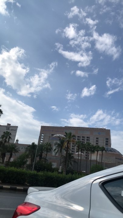 مشاركاتي في أنت الراصد