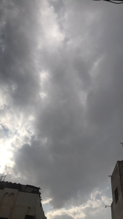 مشاركاتي في أنت الراصد