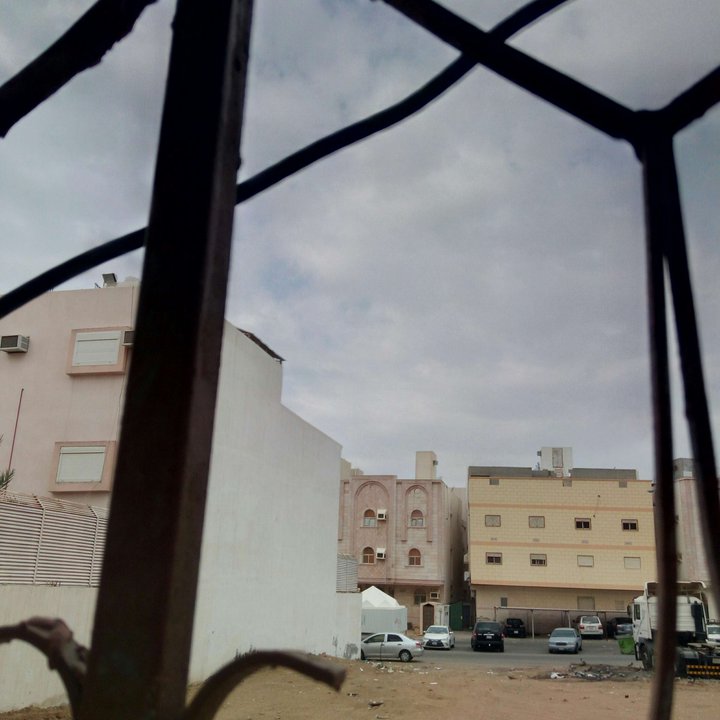 مشاركاتي في أنت الراصد