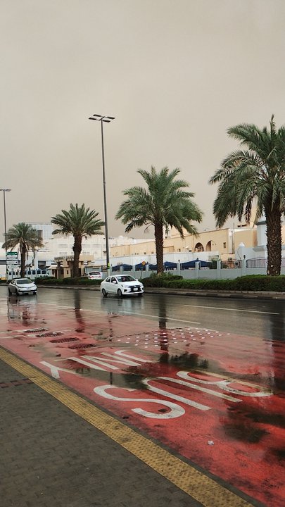 مشاركاتي في أنت الراصد