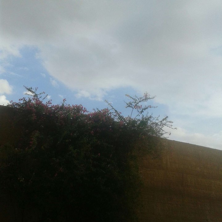 My Crowdsourcing Posts