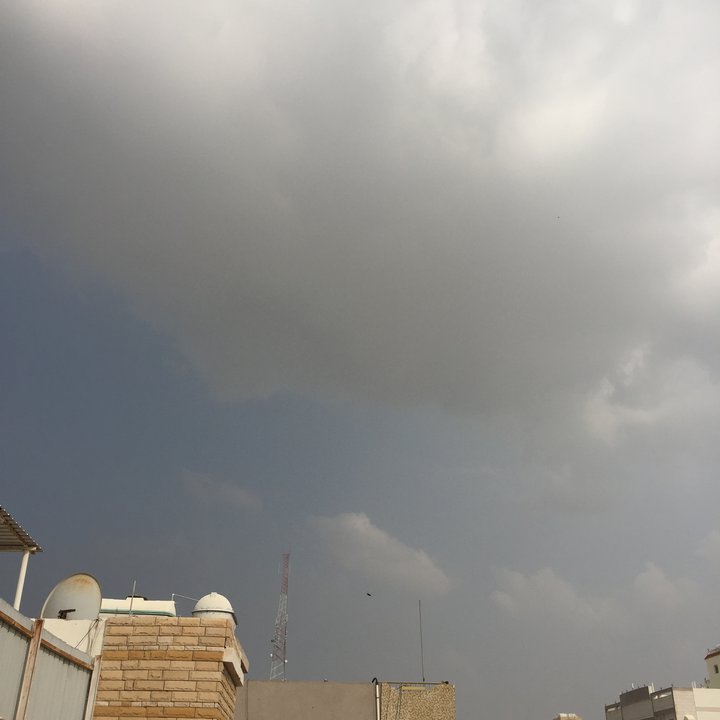 مشاركاتي في أنت الراصد