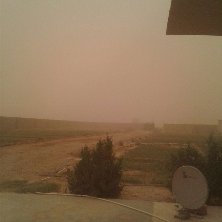 مشاركاتي في أنت الراصد