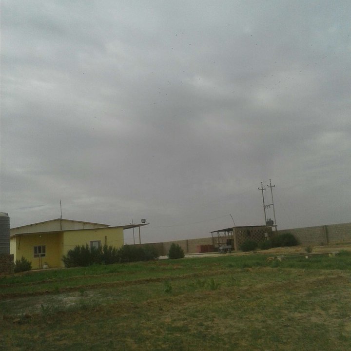 مشاركاتي في أنت الراصد