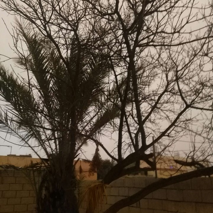 My Crowdsourcing Posts