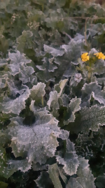 My Crowdsourcing Posts